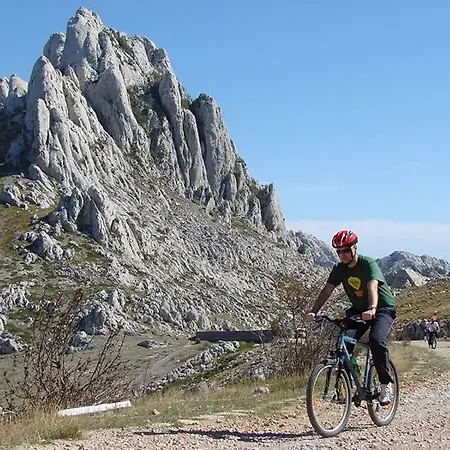 Apartamento Obrovski *