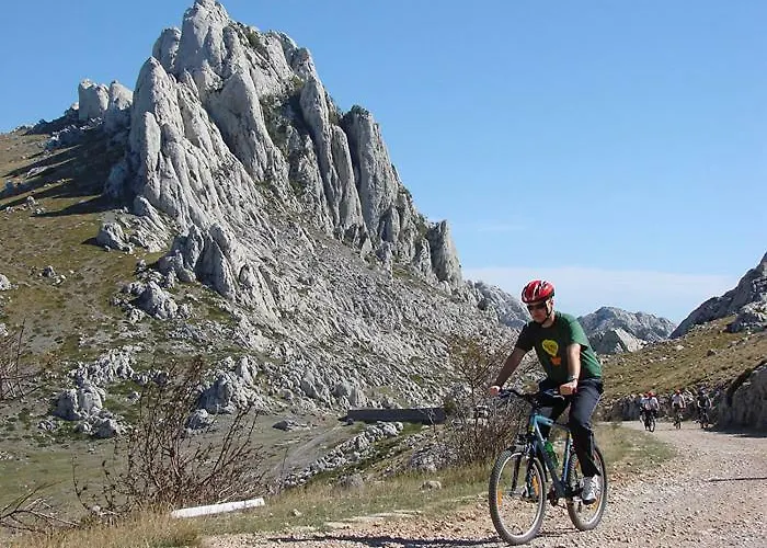 Apartamento Obrovski *